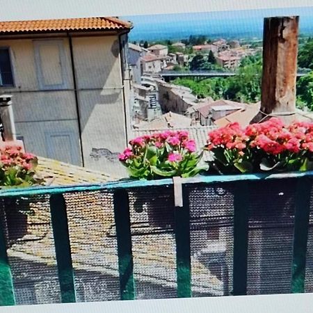 La Casa Del Sole Apartman Caprarola Kültér fotó