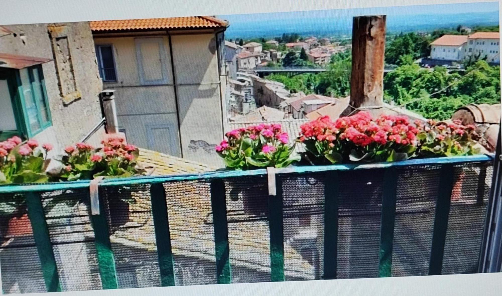 La Casa Del Sole Apartman Caprarola Kültér fotó